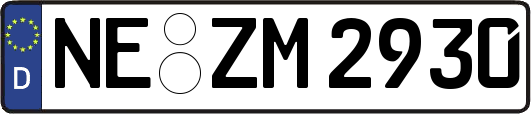NE-ZM2930
