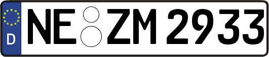 NE-ZM2933