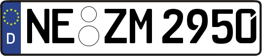 NE-ZM2950