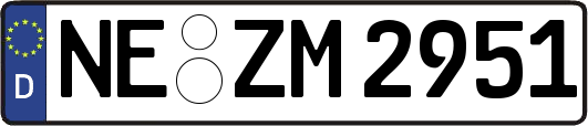 NE-ZM2951