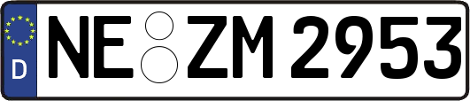 NE-ZM2953