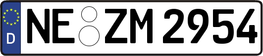 NE-ZM2954