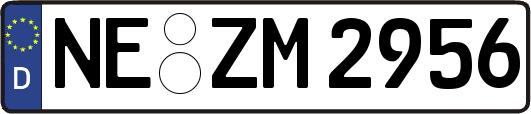 NE-ZM2956