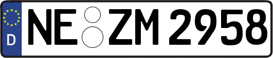 NE-ZM2958