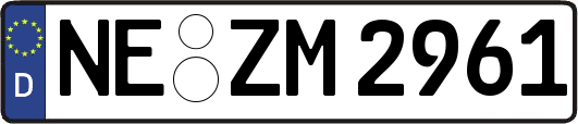 NE-ZM2961