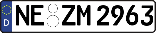 NE-ZM2963