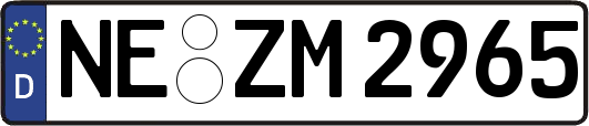 NE-ZM2965