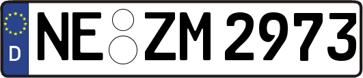 NE-ZM2973