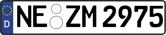 NE-ZM2975