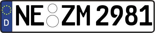 NE-ZM2981