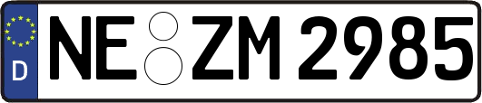 NE-ZM2985