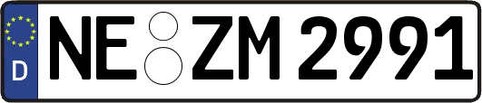 NE-ZM2991