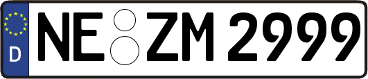 NE-ZM2999