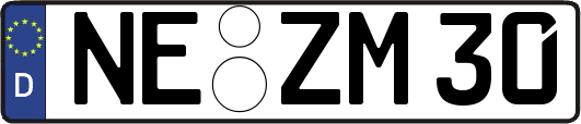 NE-ZM30