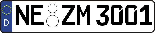 NE-ZM3001