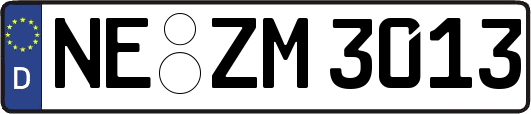 NE-ZM3013