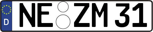 NE-ZM31