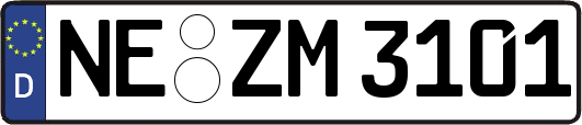 NE-ZM3101