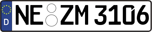 NE-ZM3106