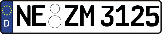 NE-ZM3125