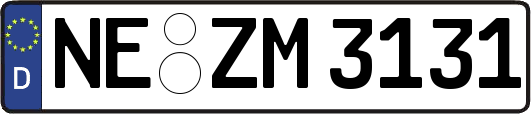 NE-ZM3131