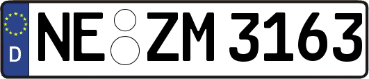 NE-ZM3163