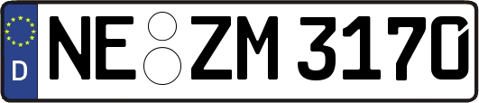 NE-ZM3170