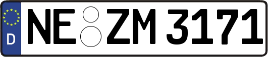 NE-ZM3171