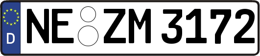 NE-ZM3172
