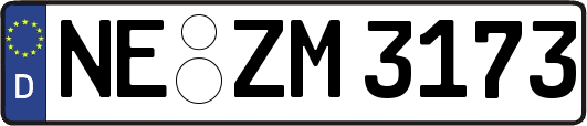 NE-ZM3173