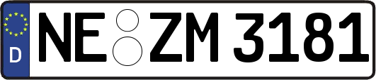 NE-ZM3181