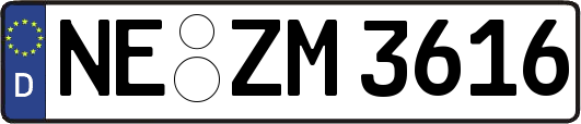 NE-ZM3616