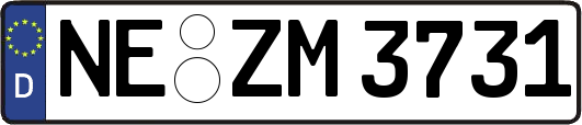 NE-ZM3731