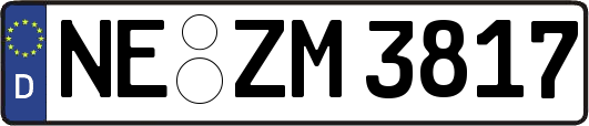 NE-ZM3817