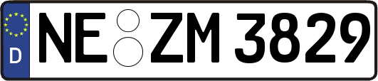 NE-ZM3829