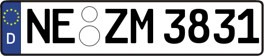 NE-ZM3831