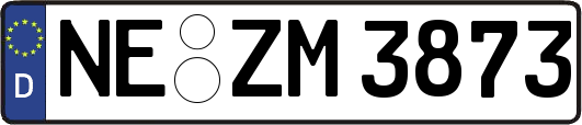 NE-ZM3873