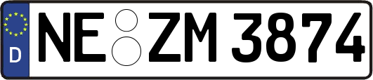 NE-ZM3874