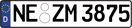 NE-ZM3875
