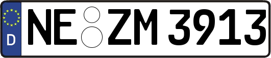 NE-ZM3913