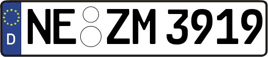 NE-ZM3919