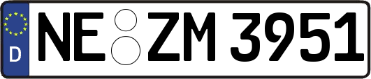NE-ZM3951