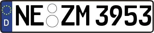 NE-ZM3953