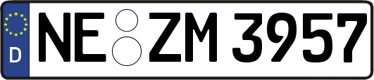 NE-ZM3957