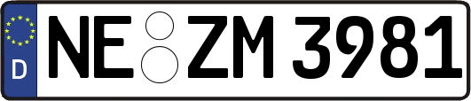 NE-ZM3981