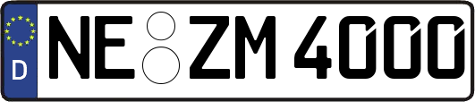 NE-ZM4000