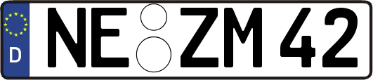 NE-ZM42