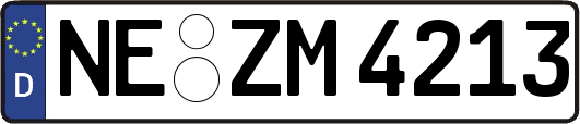 NE-ZM4213