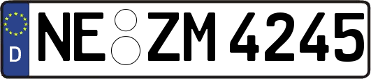 NE-ZM4245
