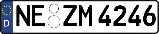 NE-ZM4246